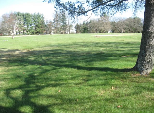 Four plots in a beautiful part of the cemetery